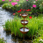 🐦 Bring your garden back to life! A peaceful birdbath with a rainwater collector to welcome local wildlife to your garden.🌿