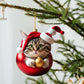 🎄10 piece 😻  Cat Christmas tree ornaments. Hanging cat ornaments