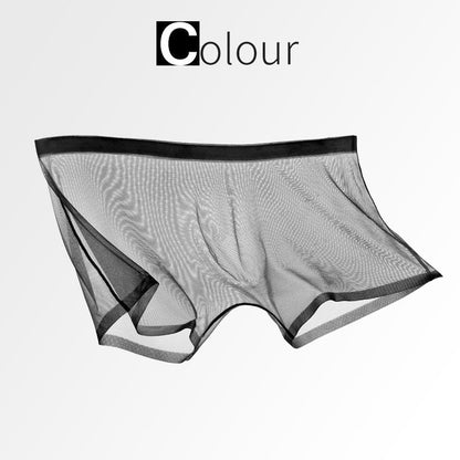 🔥HOT SALG🔥 Ice Silk Sexy Mesh Sheer Boxer truser